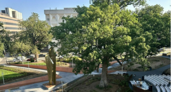 Diversity, tolerance, and liberty in NC